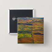 Der Palast von Steptoe Butte, Colfax, Button (Vorne & Hinten)