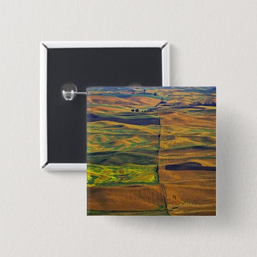 Der Palast von Steptoe Butte, Colfax, Button (Vorne & Hinten)