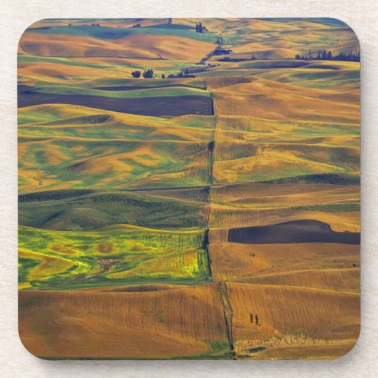 Der Palast von Steptoe Butte, Colfax, Getränkeuntersetzer (Vorderseite)