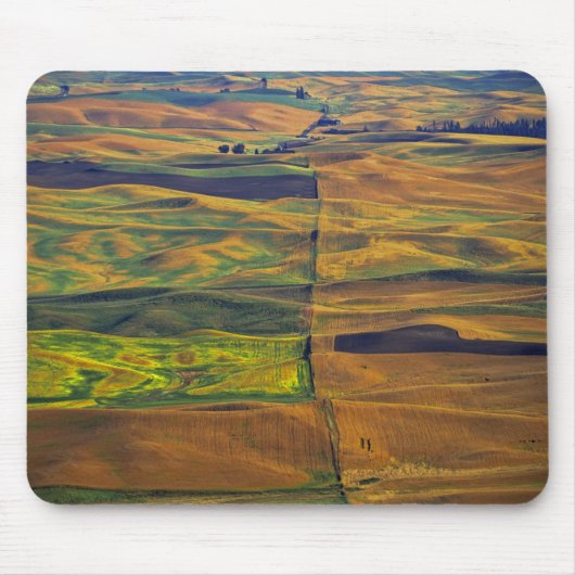 Der Palast von Steptoe Butte, Colfax, Mousepad (Vorne)
