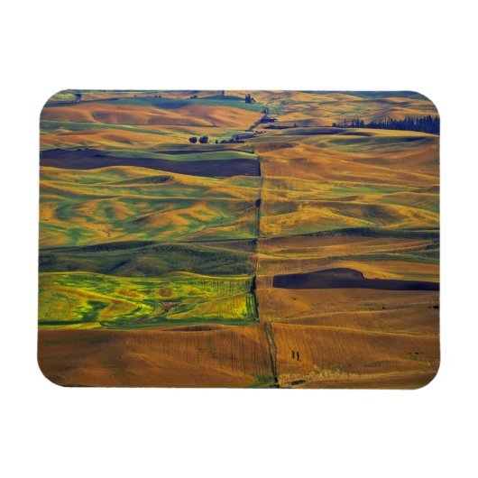Der Palouse von Steptoe Butte, Colfax, Magnet (Horizontal)