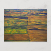 Der Palouse von Steptoe Butte, Colfax, Postkarte (Vorderseite)