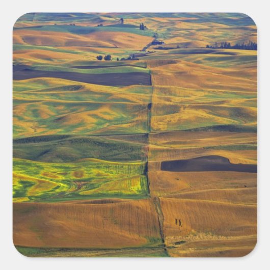 Der Palouse von Steptoe Butte, Colfax, Quadratischer Aufkleber (Vorderseite)