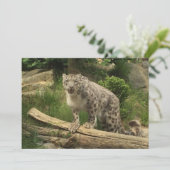 Der Panther (Stehend Vorderseite)