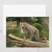 Der Panther (Vorne/Hinten)