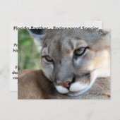 Der Panther von Florida - Postkarte lernen (Vorne/Hinten)