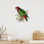 Der Papagei-Baureihe zwei von drei Poster (Küche)