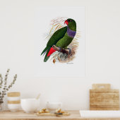 Der Papagei besteht aus drei Reihen Poster (Küche)