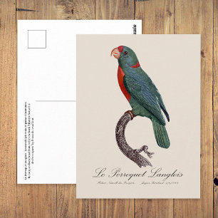 Der Papagei Langlois von Jacques Barraband Postkarte