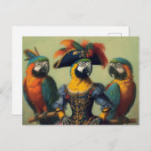 Der Papageienpirat Postkarte (Vorne/Hinten)