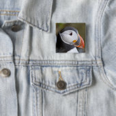 Der Papageitaucher, ein pelagischer Seevogel Button (Beispiel)