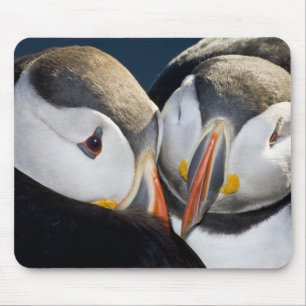 Der Papageitaucher, ein pelagischer Seevogel Mousepad