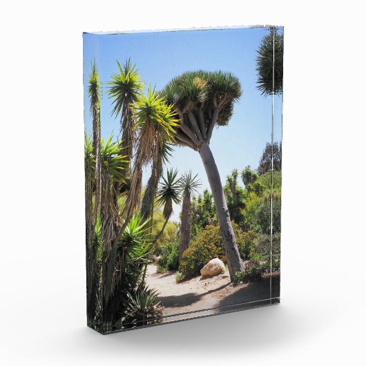 Der Park Cactus Garden Balboa Fotoblock (Links)