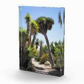 Der Park Cactus Garden Balboa Fotoblock (Rechts)