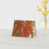 Der Park-Karte 8 des Fall-Ahornbaum-Pioniers Karte (Gelbe Blume)