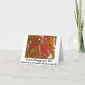 Der Park-Karte 8 des Fall-Ahornbaum-Pioniers Karte (Rückseite)