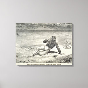 Der Park Mungo (1771-1806) wird durch den Anblick  Leinwanddruck