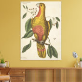 "Der Parrot des Paradieses" Leinwanddruck (Insitu (Wohnzimmer))
