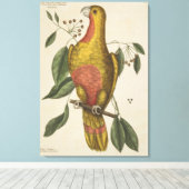 "Der Parrot des Paradieses" Leinwanddruck (Insitu (Holzboden))