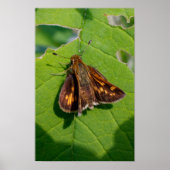 Der Pecks Skipper Poster (Vorne)
