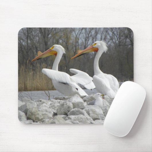 Der Pelikan-Schnabel Mousepad (Mit Mouse)