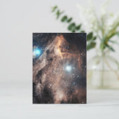 Der Pelikannebel Postkarte (Stehend Vorderseite)