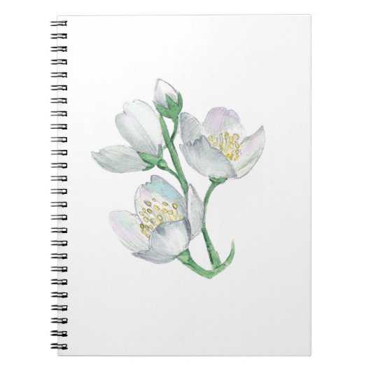 Der perfekte Companion: Bestes Notebook für jeden Notizblock (Vorderseite)