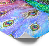 Der perfekte Pfau. Poster (Ecke)