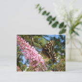 Der perfekte Schmetterling! Postkarte (Stehend Vorderseite)