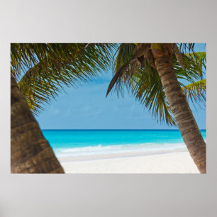 Der perfekte Strand des tropischen Paradise Poster