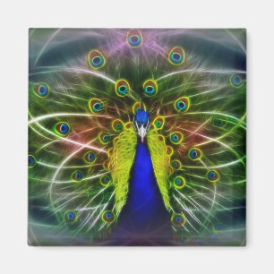 Der Pfau Dreamcatcher Magnet
