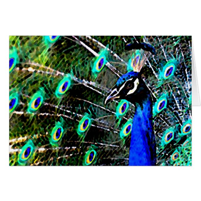 Der Pfau - Nah und persönlich (Vorderseite (Horizontal))