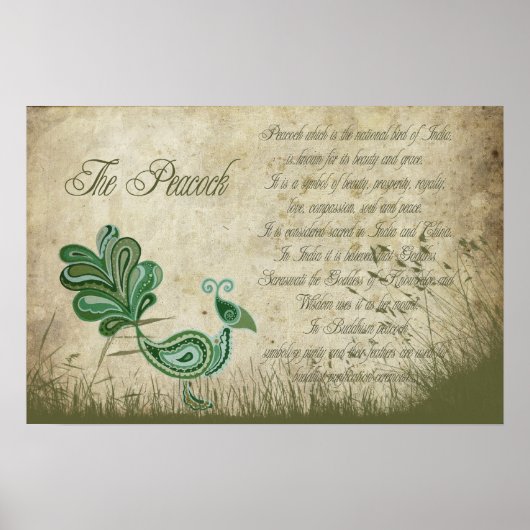 Der Pfau Poster (Vorne)