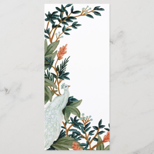 Der Pfau Programm (Rückseite)