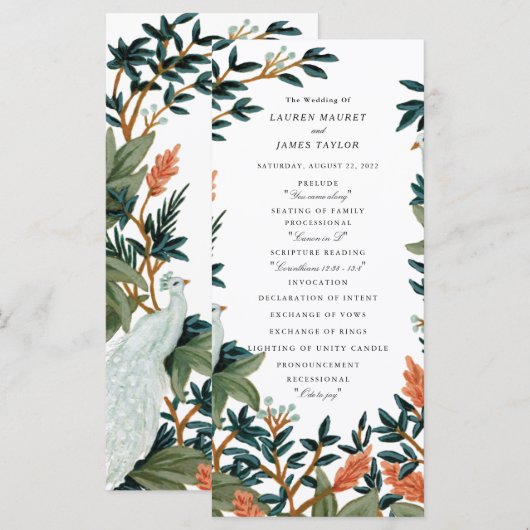 Der Pfau Programm (Vorne/Hinten)