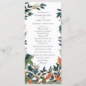 Der Pfau Programm (Vorderseite)