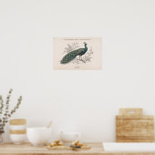 Der Pfau Vintage viktorianischer Pfau Poster (Küche)