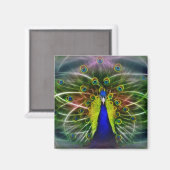 Der Pfauendreamcatcher Magnet (Vorderseite/Rückseite)