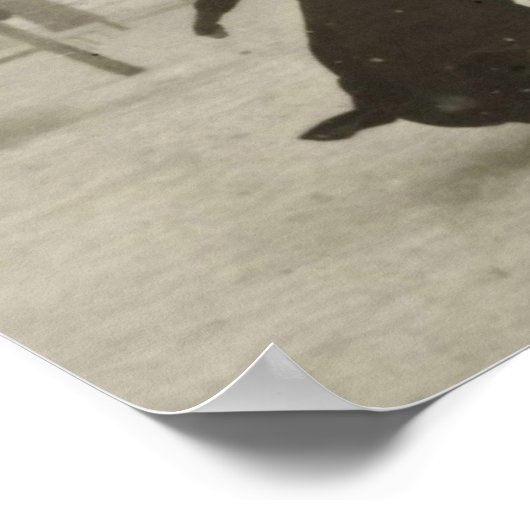 Der Pferdetrainer von Felix Thiollier 1899 Poster (Ecke)