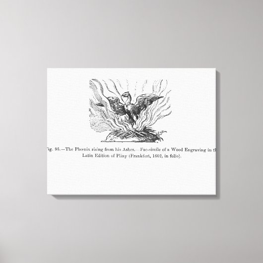 Der Phoenix, der aus seiner Asche aufsteigt Leinwanddruck (Vorderseite)