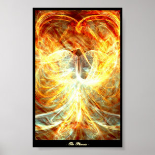 Der Phoenix Poster