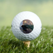 Der Pianist (Musikerin) Golfball (Insitu T-Shirt)