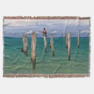 Der Pier in Coqueiros Strand in Trancoso Decke