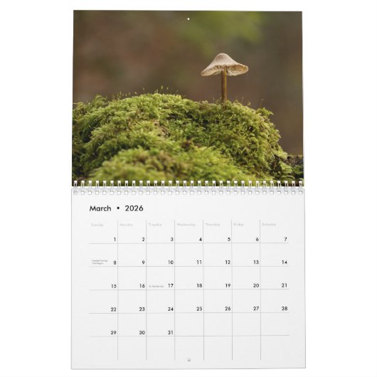 Der Pilzkalender für 2024 Schöne Fotos Kalender (Mär 2026)