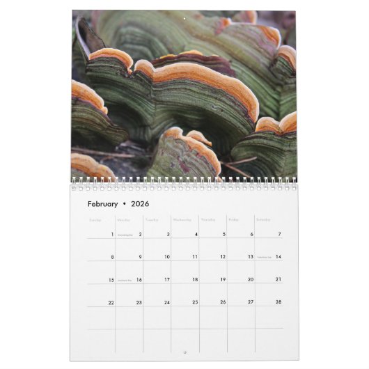 Der Pilzkalender für 2024 Schöne Fotos Kalender (Feb 2026)