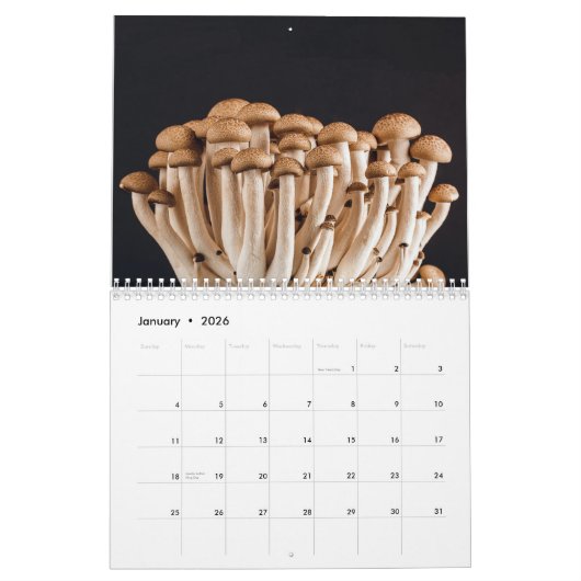 Der Pilzkalender für 2024 Schöne Fotos Kalender (Jan 2026)