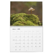 Der Pilzkalender für 2025 Schöne Fotos Kalender (Mär 2025)