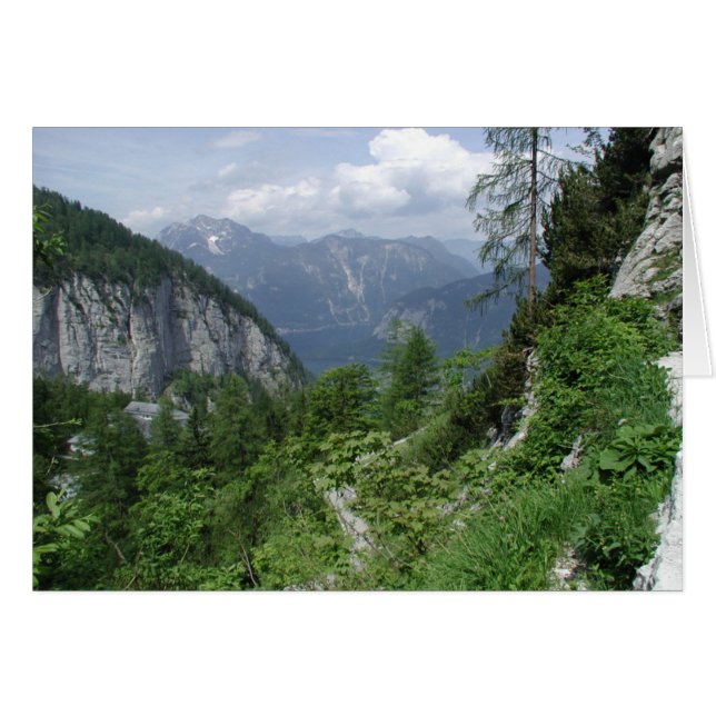 Der Pinsel der Natur (Vorderseite (Horizontal))