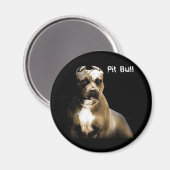 Der PITbull Magnet (Vorderseite/Rückseite)