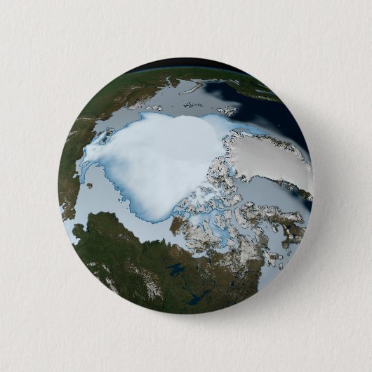 Der Planet Erde zeigt eine Eisdecke im Jahr 1980. Button (Vorderseite)